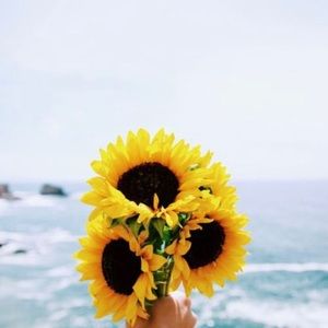 Meet your Posher, Rileigh